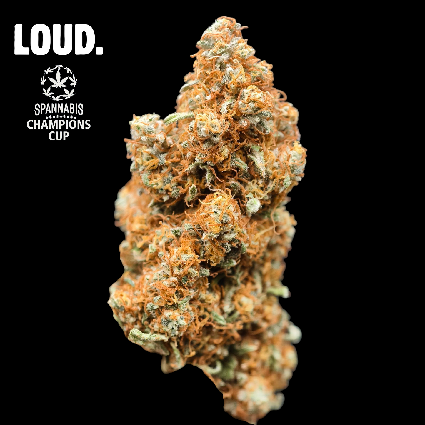 CITRON OG 7% CBD <0.2% THC Loose Hemp Tea