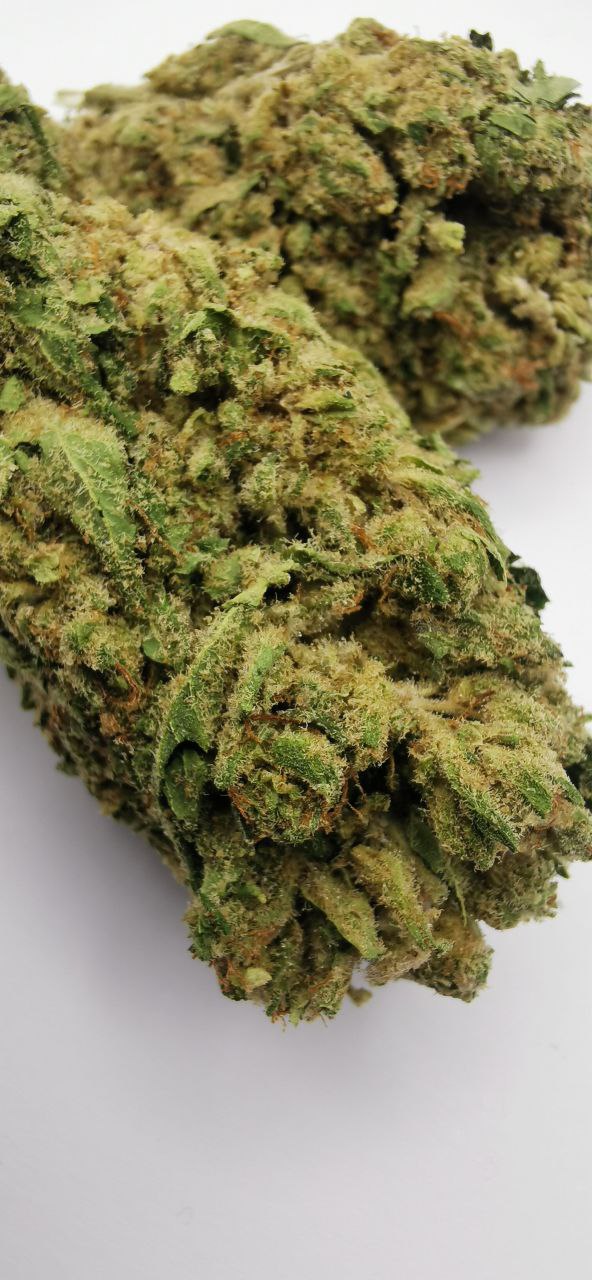 WHITE FROST 