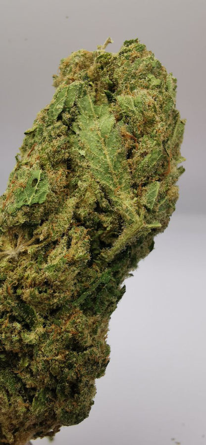 WHITE FROST 