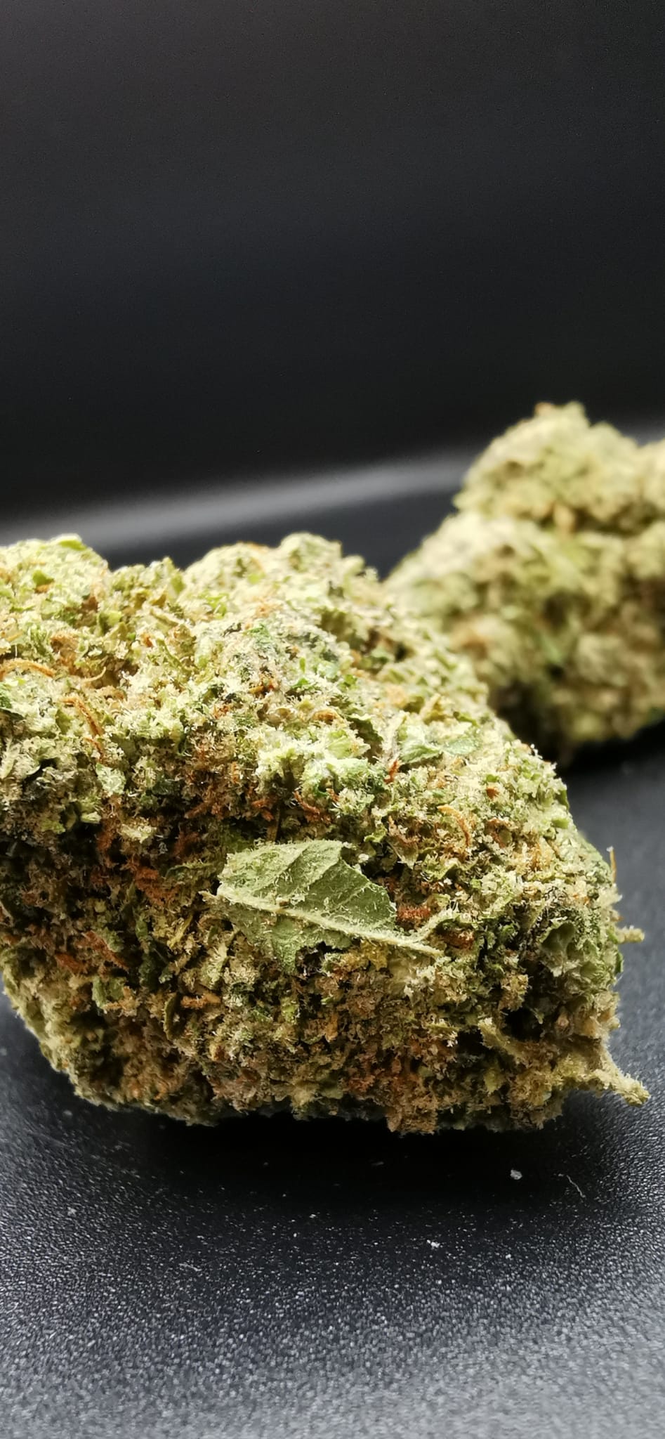 Gorilla Glue 