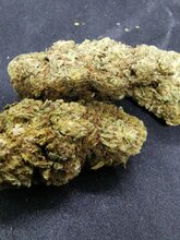New York Disel (GREENHOUSE) Loose tea 13%CBD <0.2% THC (EOB) - H Town Hemp