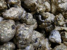 Golden Rocks loose hemp tea 56%CBD <0.2%THC (EOB) - H Town Hemp