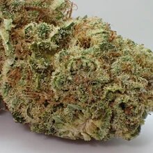 Therapy 10% CBD <0.2% THC Loose hemp tea - H Town Hemp