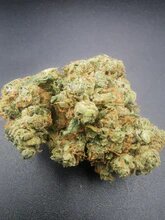 Mimosa 9% CBD <0.2% THC Loose Hemp Tea (EOB) - H Town Hemp