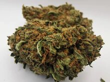 Passion Fruit 10% CBD <0.2%THC Loose Hemp Tea (EOB) - H Town Hemp