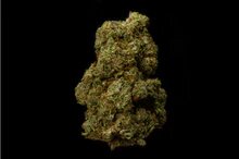 V1 Haze 10% CBD <0.2%THC loose hemp tea - H Town Hemp