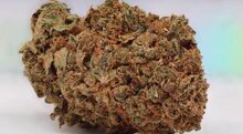Pineapple 13% CBD <0.2%THC loose hemp tea (EOB) - H Town Hemp