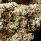 Orangeade 15% CBD <0.2% THC hemp tea - H Town Hemp